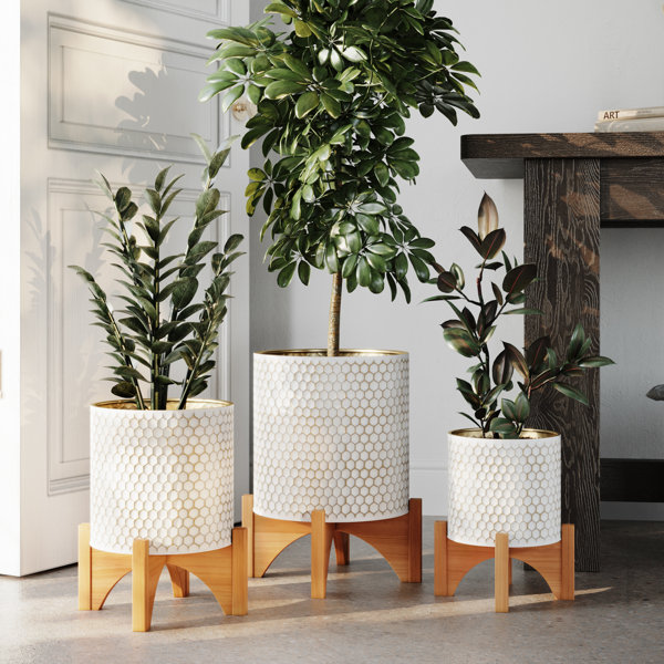 Aspire Arch Set of 3 Planters Wayfair Canada